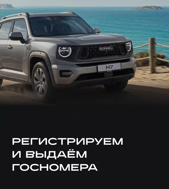 Регистрируем и выдаём госномера